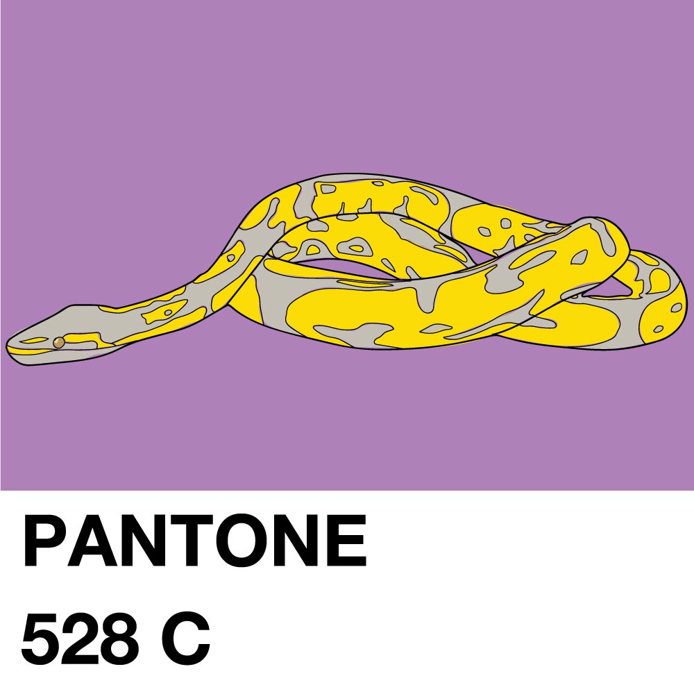 PANTONE thumbnail thumbnail